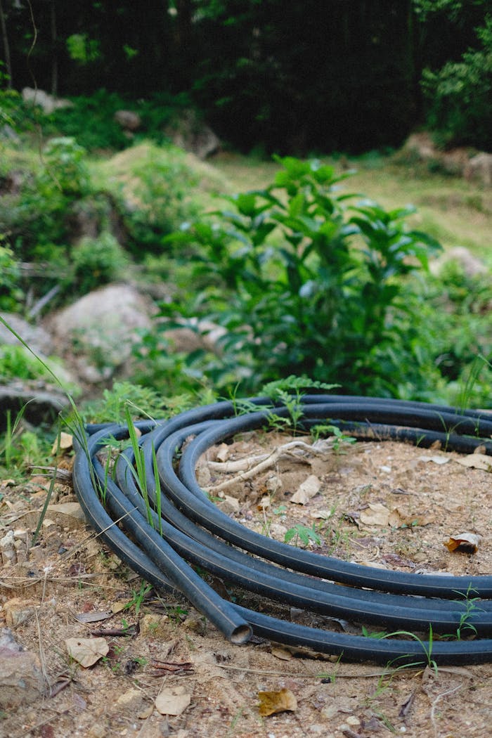 A coiled garden hose lies on a lush outdoor landscape with greenery.